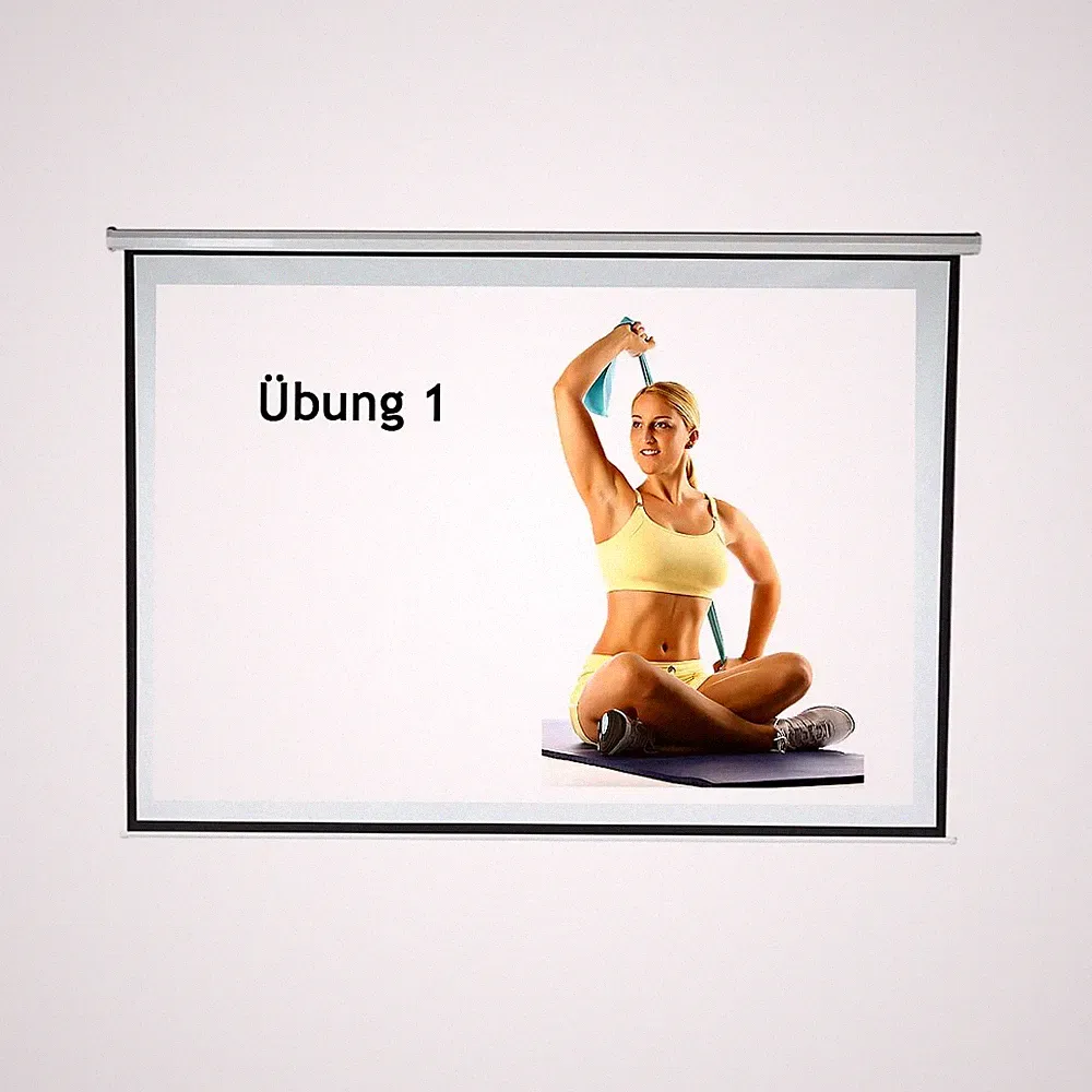Beamerleinwand 244X182CM Motor Beamer Leinwand Heimkino Projektionsleinwand 📽️