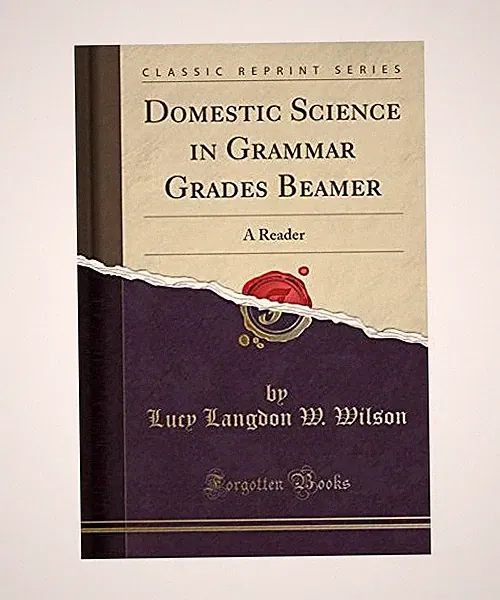 Domestic Science in Grammar Grades Beamer: A Reader [Classic Reprint]: A Reader