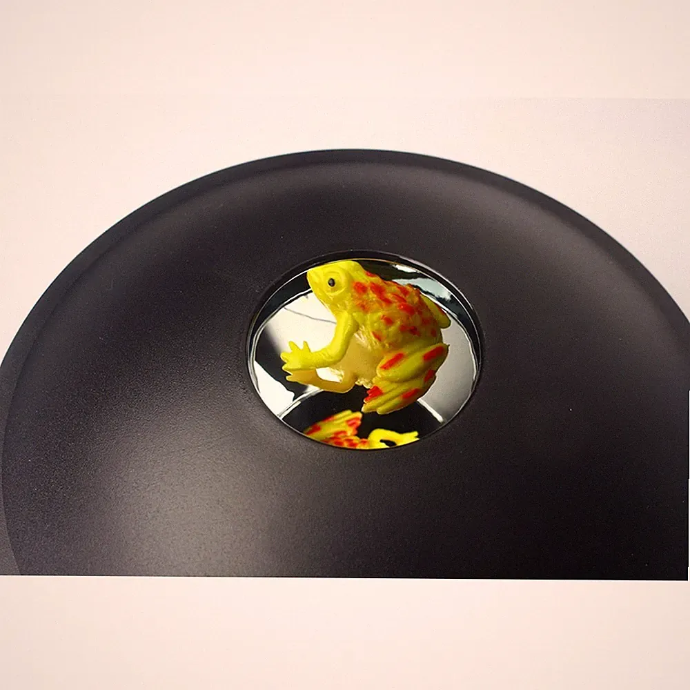 Innovative Lernhilfe 3D Hologramm Spielzeug für Kinder Bildung Spaß