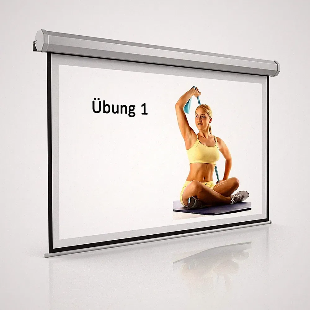 Leinwand WM Beamerleinwand Heimkino 120" Motor 244x182 Beamer + FFB 16:9 4:3 1:1