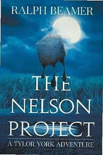 Ralph Beamer The Nelson Project (Taschenbuch)