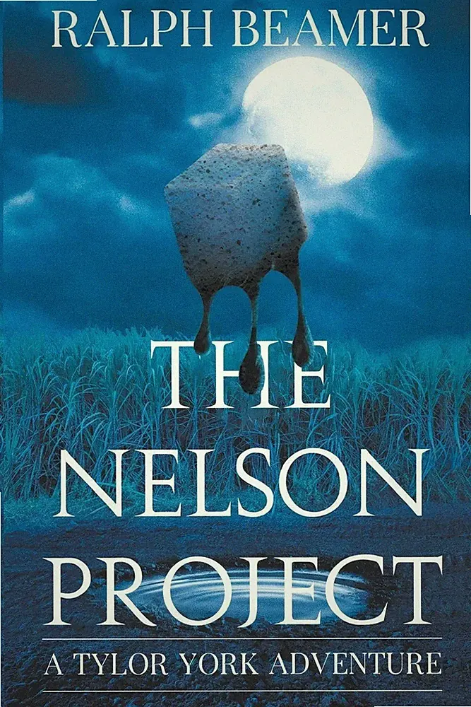 Ralph Beamer | The Nelson Project | Taschenbuch | Englisch (2024)