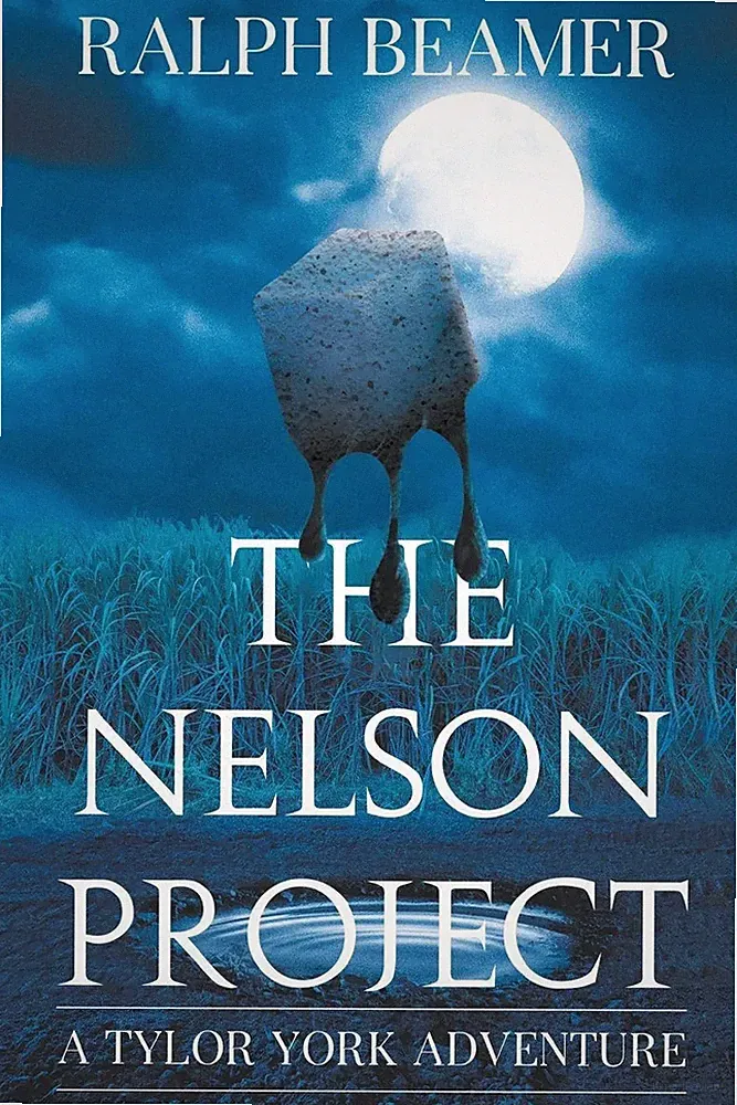 Ralph Beamer | The Nelson Project | Taschenbuch | Englisch (2024)